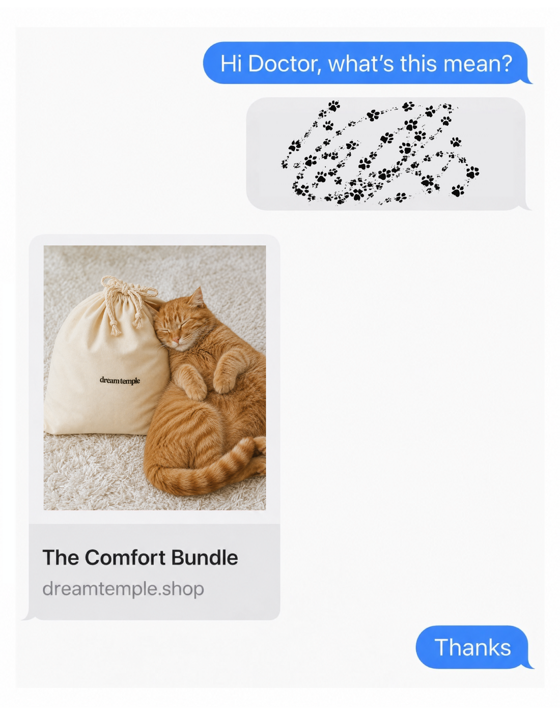 International Cat Day: The Cozy Professionals Recommend a Comfort Bundle